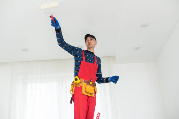 Best Drywall Removal and Disposal  in North Gates, NY